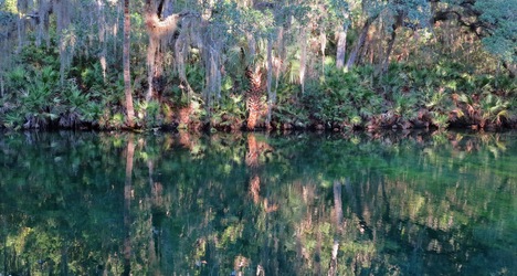 Blue Spring State Park | DeLand, Florida