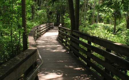 Blue Spring State Park | DeLand, Florida