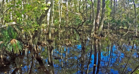 De Leon Springs State Park 