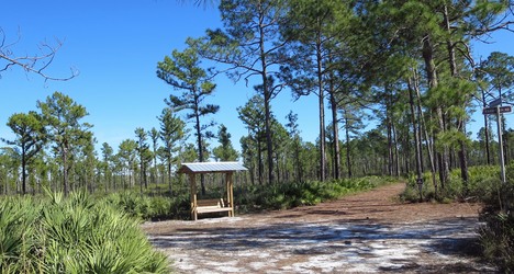 Hontoon Island State Park | DeLand, Florida