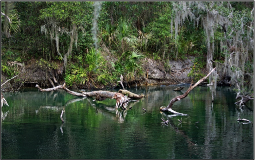 Exploring the Athens of Florida