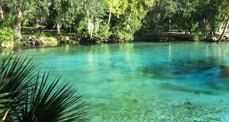 Silver Glen Springs | DeLand, Florida