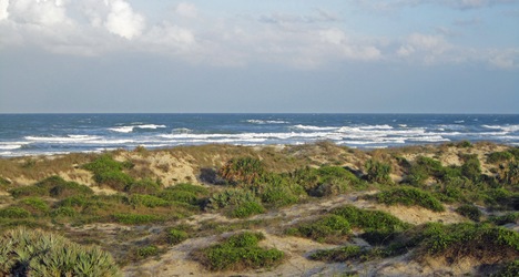 Smyrna Dunes Park | DeLand, Florida