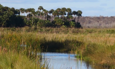 Lake Woodruff National Wildlife Refuge | DeLand, Florida